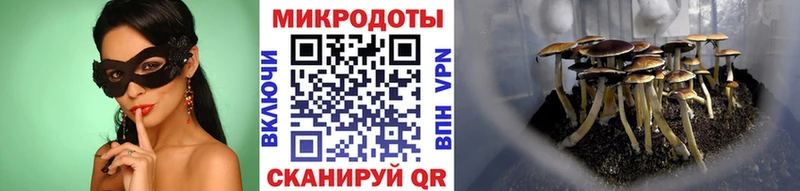 Галлюциногенные грибы MAGIC MUSHROOMS  Купить  Верещагино 